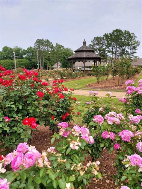 Day Guide to Thomasville, Georgia’s Rose City