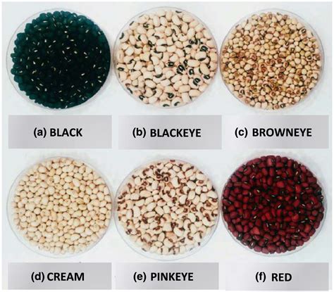 Cowpeas: Nutritional profile, processing methods and products—A review ...