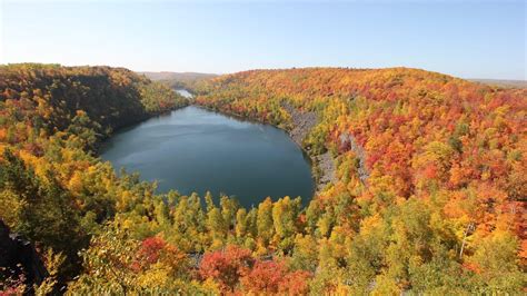 Northern half of Minnesota approaching peak fall color, DNR says | FOX ...