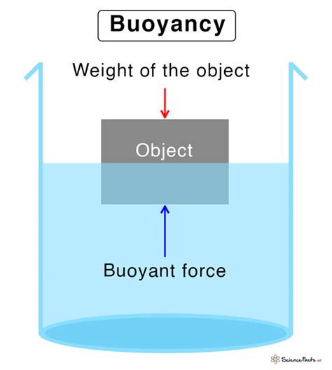 Types Of Buoyancy