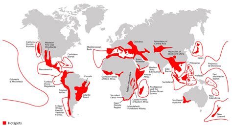 Raising Awareness of Environmental Hotspots