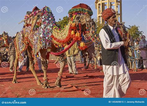 Decorated Camel in Rajasthan, India. Editorial Image - Image of ...