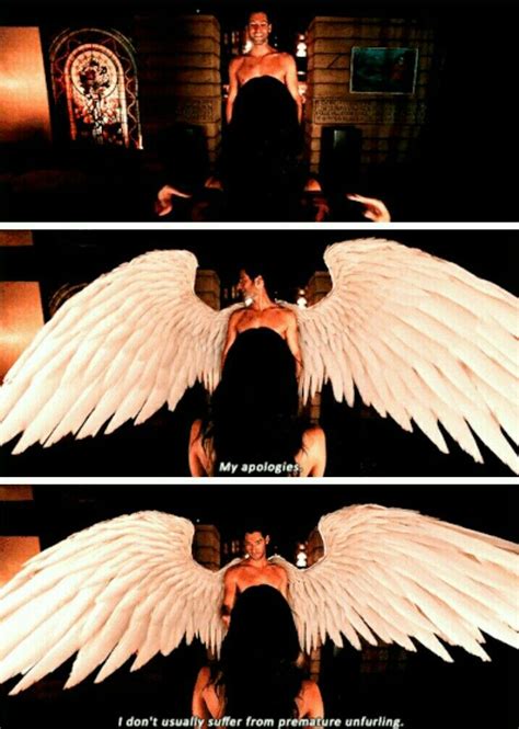 Lucifer | Lucifer morningstar, Lucifer wings, Lucifer