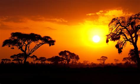 Kenya Tourism and Holidays: Best of Kenya - Tripadvisor