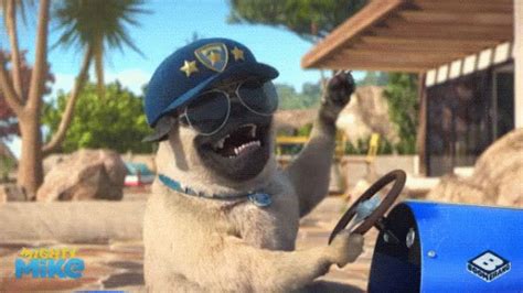 Mighty Mike Pug GIF - MightyMike Pug Dog - Discover & Share GIFs