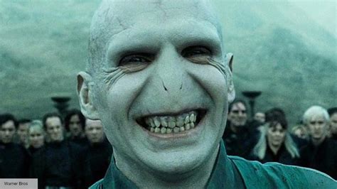 Voldemort actor Ralph Fiennes will happily do more Harry Potter movies