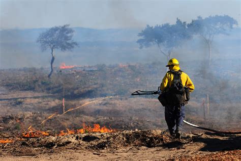 Controlled burns help prevent wildfires. Climate change is limiting ...