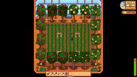 Stardew Valley Greenhouse - Gamespedition.com