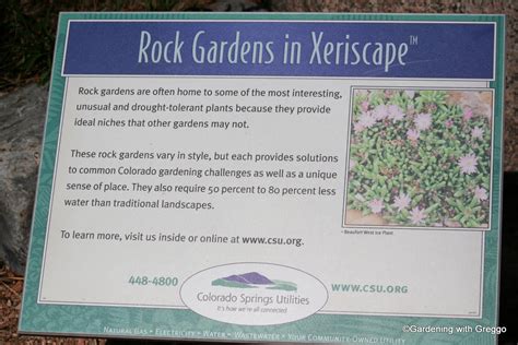 Gardening with Greggo: In Conclusion: Xeriscape Demo Garden Part Three