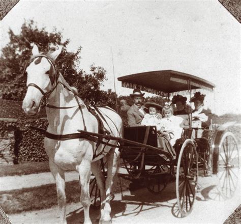 Horse and Buggy – One of the Common Transports before 1900 | Horse and ...