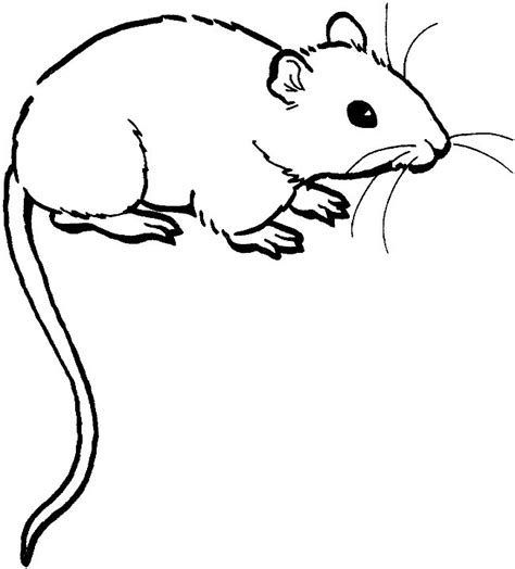 Free Rat Clipart Black And White, Download Free Rat Clipart Black And ...