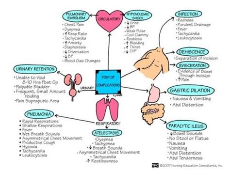 cupcakern: “ And post-op goals would not be complete with out possible ...