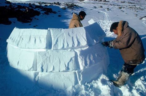 Science Source - Inuit building an Igloo in 2021 | Igloo building ...