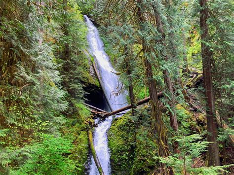 5 Best Olympic National Park Waterfalls - Ordinary Adventures