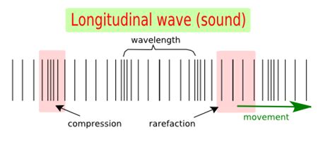 What is the difference between the transverse waves and the ...