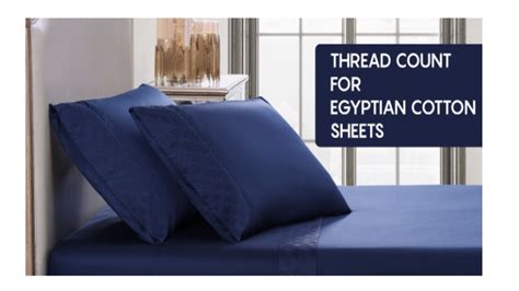 Choose the Best thread count for Egyptian cotton sheets in 2023-24 ...