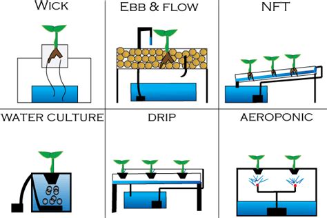 Types of hydroponic systems - NoSoilSolutions