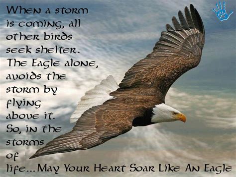 Soar Like An Eagle Quotes And Sayings. QuotesGram