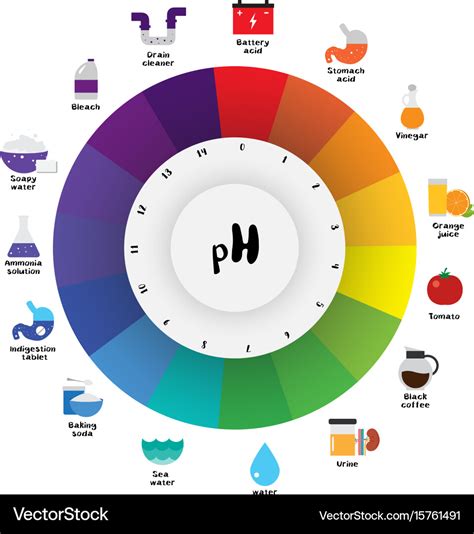 Ph scale universal indicator color chart Vector Image