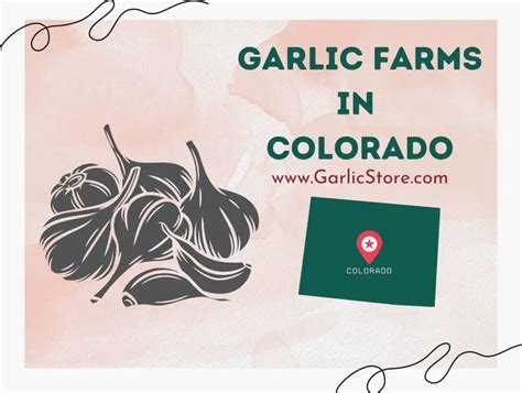 Garlic Farms - Garlic Store