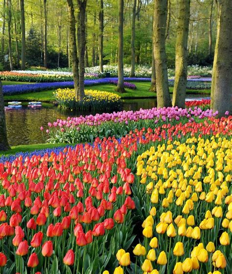 14 Reasons to visit the Netherlands in Spring! - Netherlands Tourism