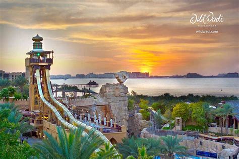 Wild Wadi Water Park Dubai - Tickets, Offers, Timings, Tips and More