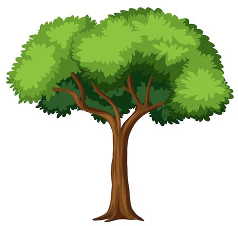 Tree Vectors & Illustrations for Free Download