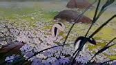 A Poem Is... | The Star | Disney Junior - YouTube