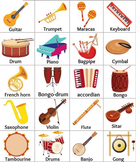 Musical Percussion Instruments With Names