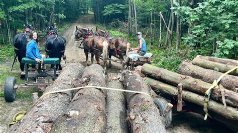 HAULING LOGS WITH MY DAUGHTER!! // Draft Horse Logging - YouTube