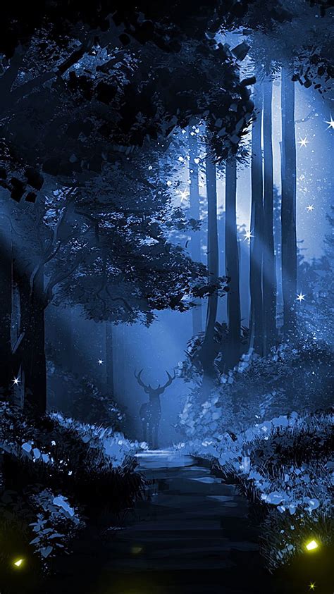 Night Forest, Beautiful Night Forest, HD phone wallpaper | Peakpx