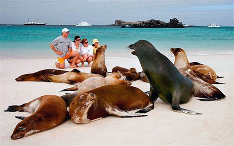 How to plan a trip to the Galapagos Islands - Galapagos Islands Blog