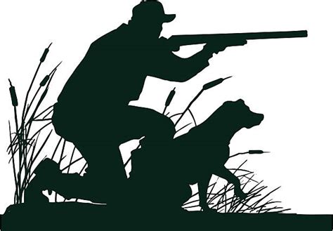 30+ Bird Hunting Dog Stock Illustrations, Royalty-Free Vector Graphics ...