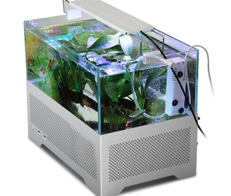 The Aquarium PC Concept Comes Full Circle With Live Fish In A Crazy ...