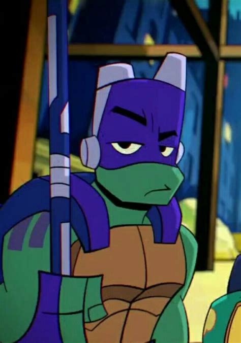 Donatello | Rise of the TMNT Wiki | Fandom