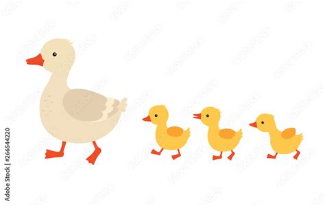 Mother duck and ducklings. Cute baby ducks walking in row. Cartoon ...