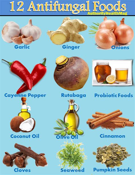 12 Antifungal Foods | Best Anti-Candida Diet Food List