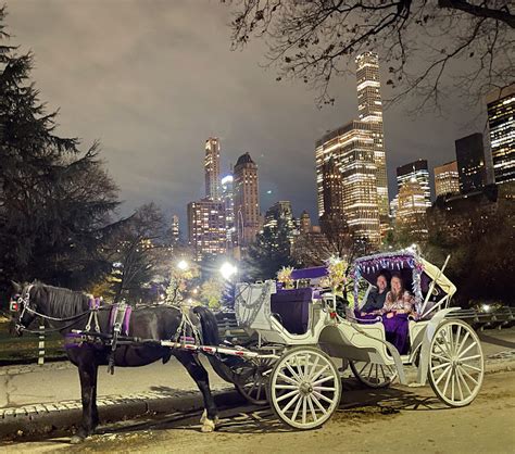 Review of Central Park Carriage Rides - Back to the Passport