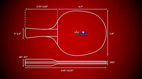 Table Tennis Racket/Paddle Size & Measurements