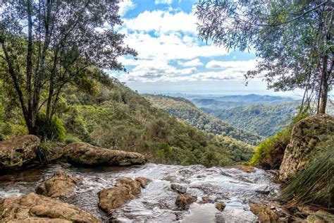 Stunning Springbrook waterfalls and picnic spots