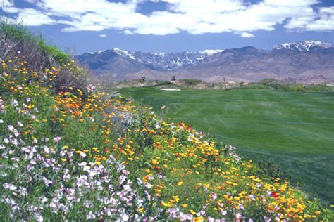 Paiute Golf Resort - The Wolf