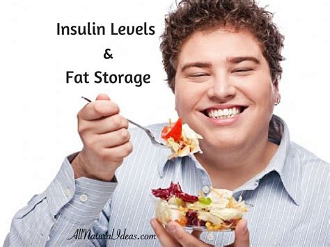 Insulin Levels and Fat Storage | All Natural Ideas