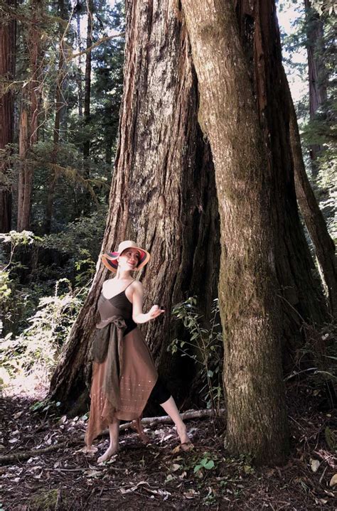 Jedediah Smith Redwoods State Park - Traveling Archive