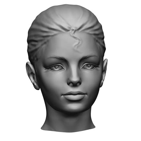 Free Zbrush Woman Head 3d Model