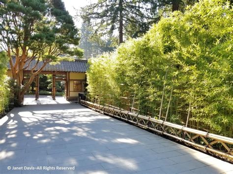 18-Entrance gate and bamboo screen-to flat garden-Japanese Garden ...