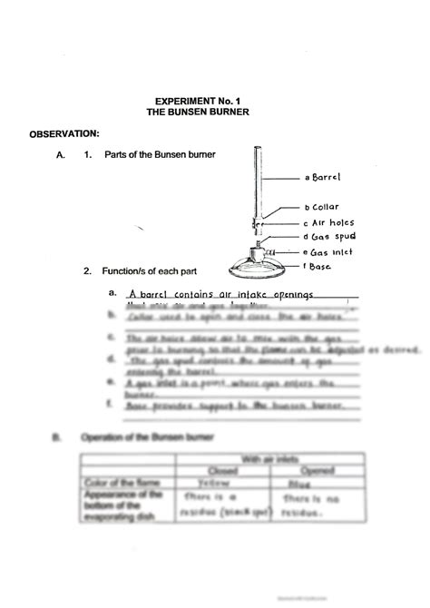 SOLUTION: Bunsen burner experiment - Studypool