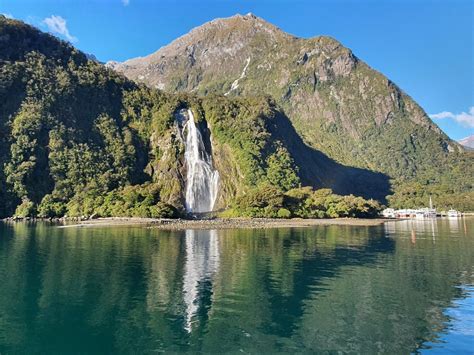 Bowen Falls Walk is a free walk in Milford Sound | Best walk details here