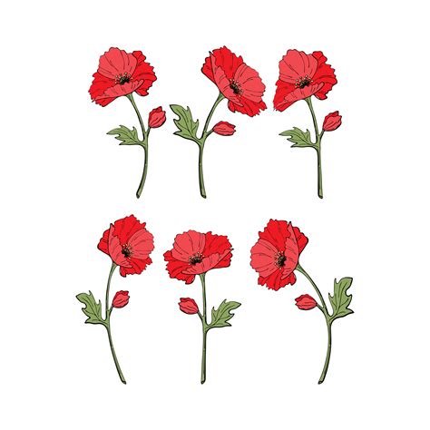 Red Poppy Vector Art, Icons, and Graphics for Free Download