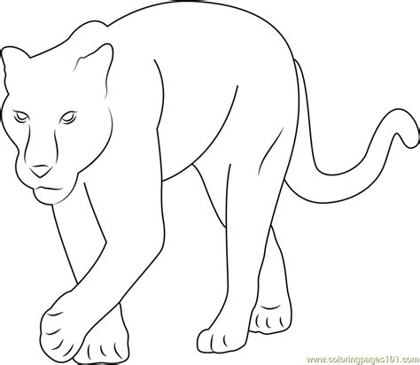 Baby Panther Coloring Page for Kids - Free Panther Printable Coloring ...