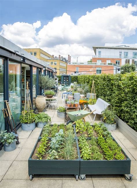 Rooftop Garden by The Conran Shop - WGSN Insider | Dachgarten, Garten ...